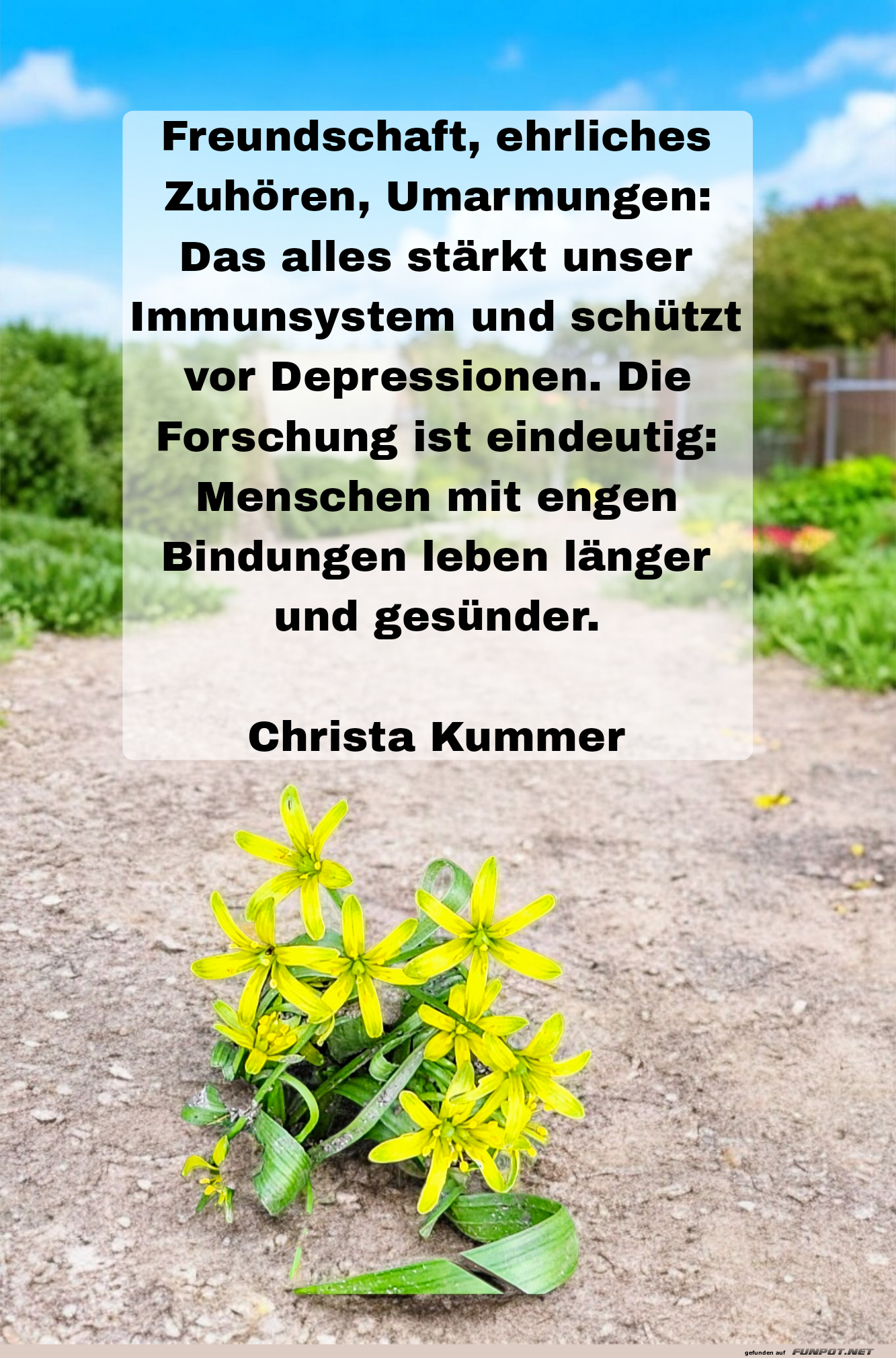 freundschaft, ehrliches zuhören