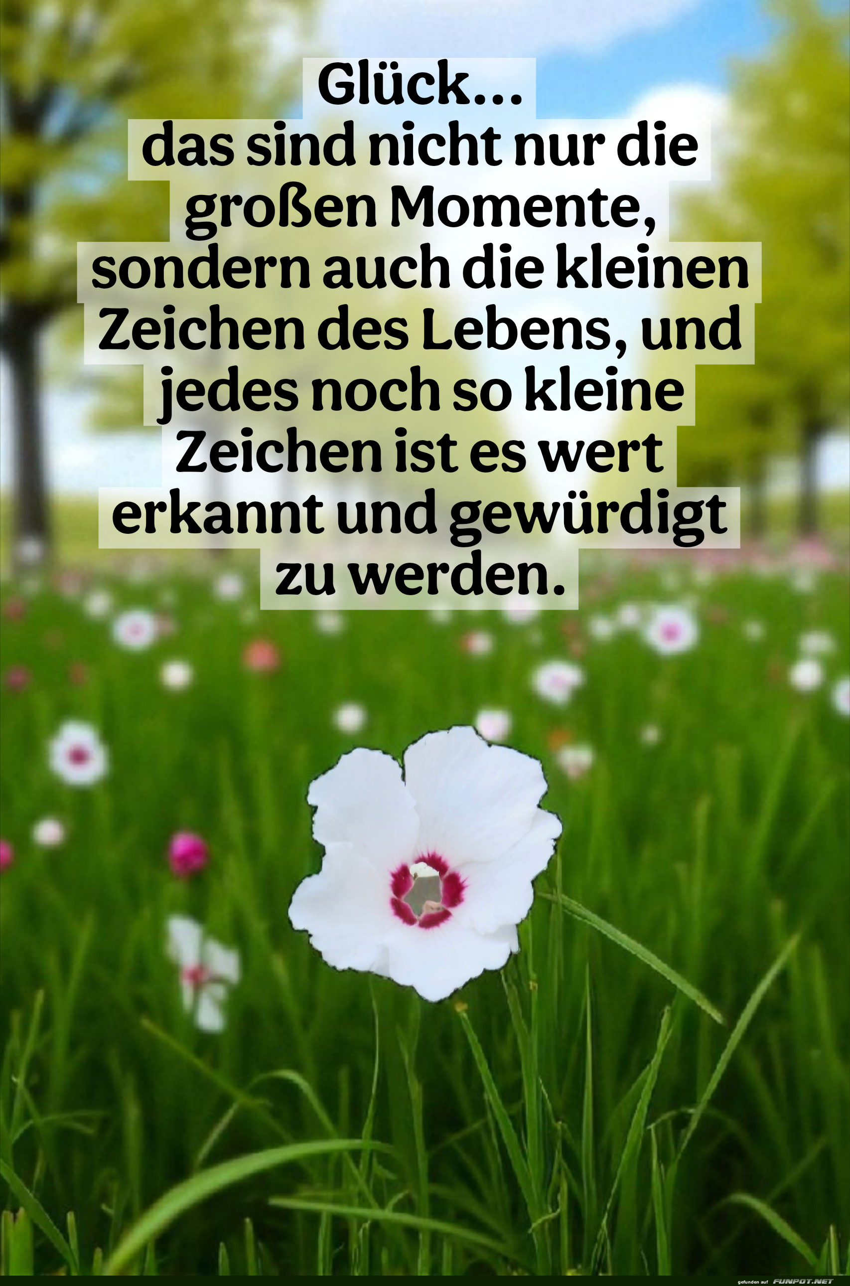 glück, das sind nicht nur die großen