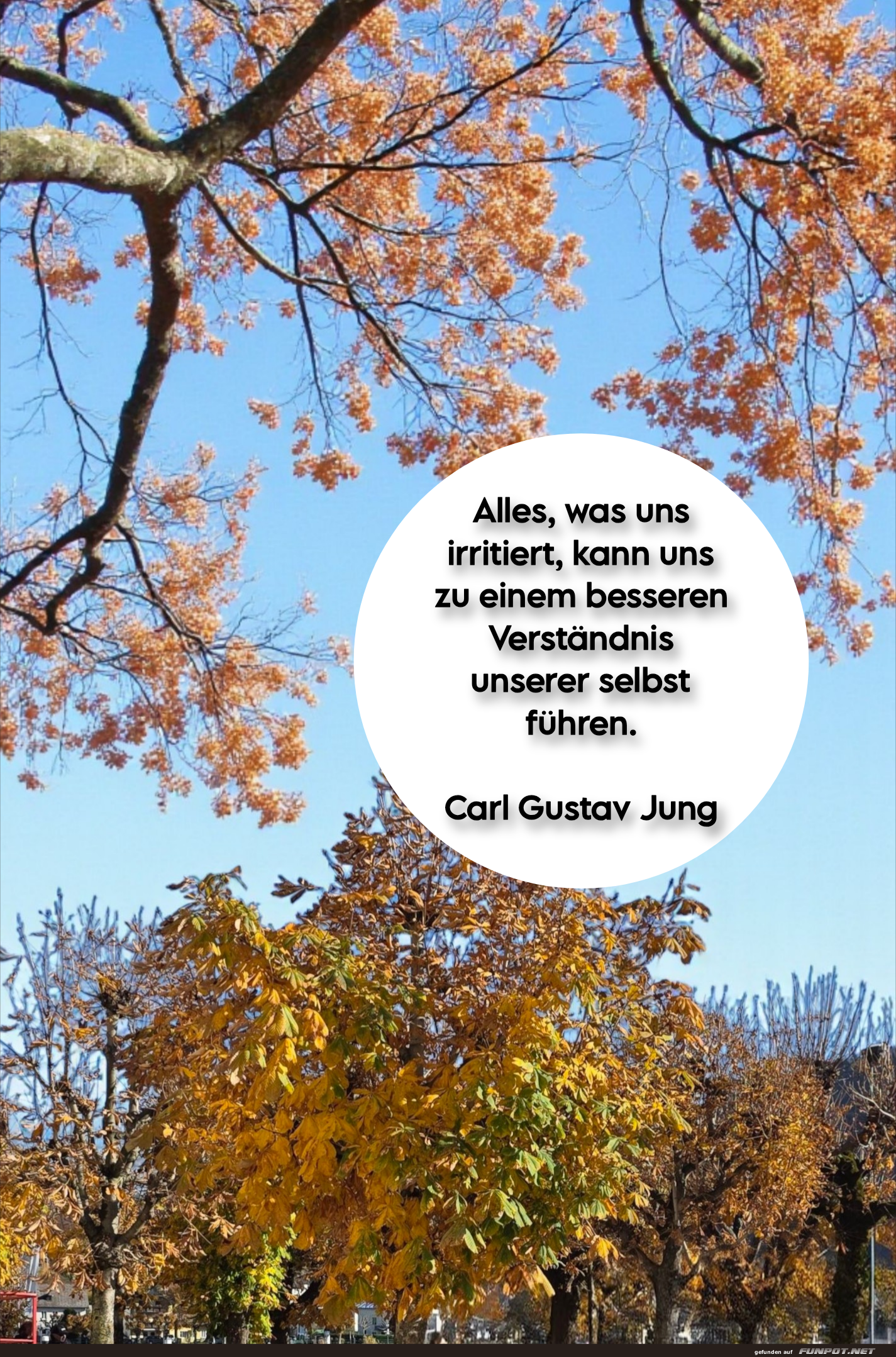 alles, was uns irritiert