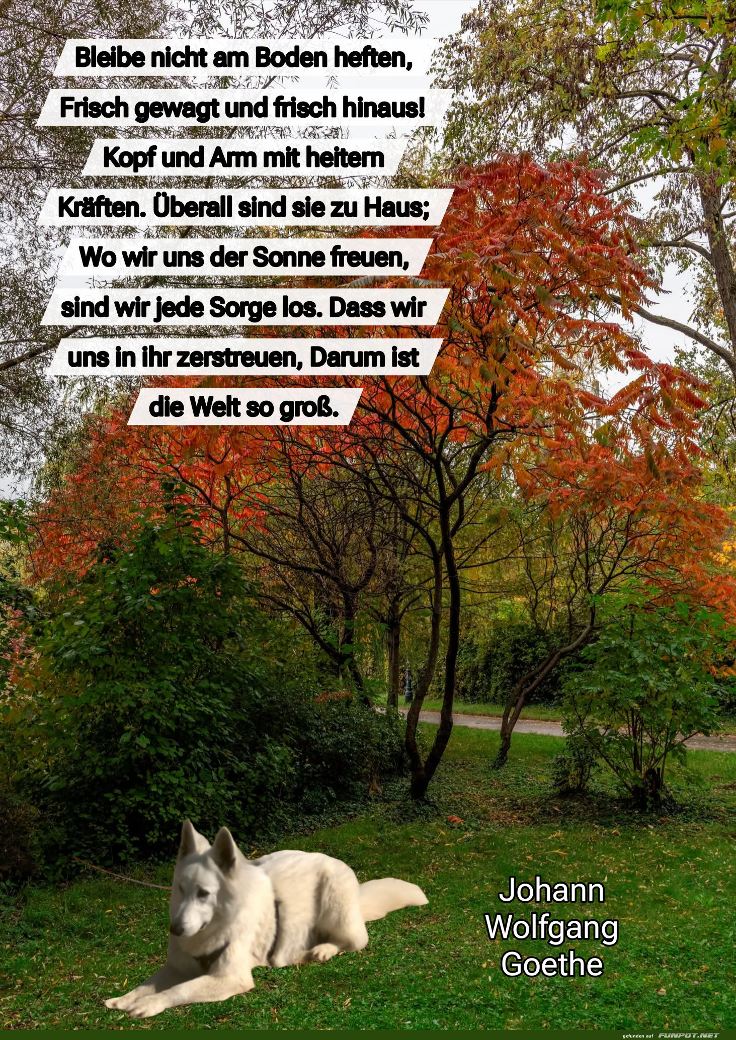 bleibe nicht am boden heften