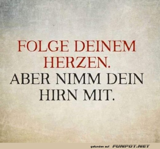 Herz sagt ja, Hirn sagt: Nimm mich mit!