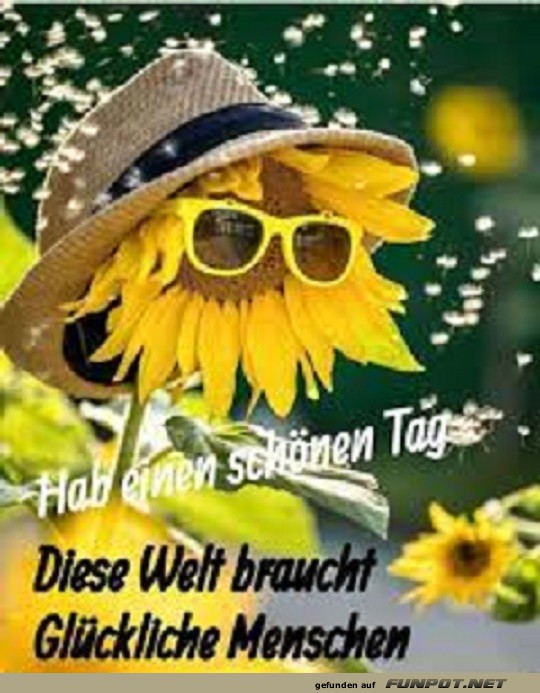 Habt einen schnen Tag