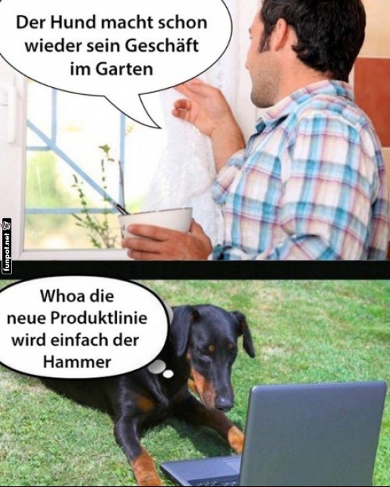 Multitalentierter Hund geht ins Business!