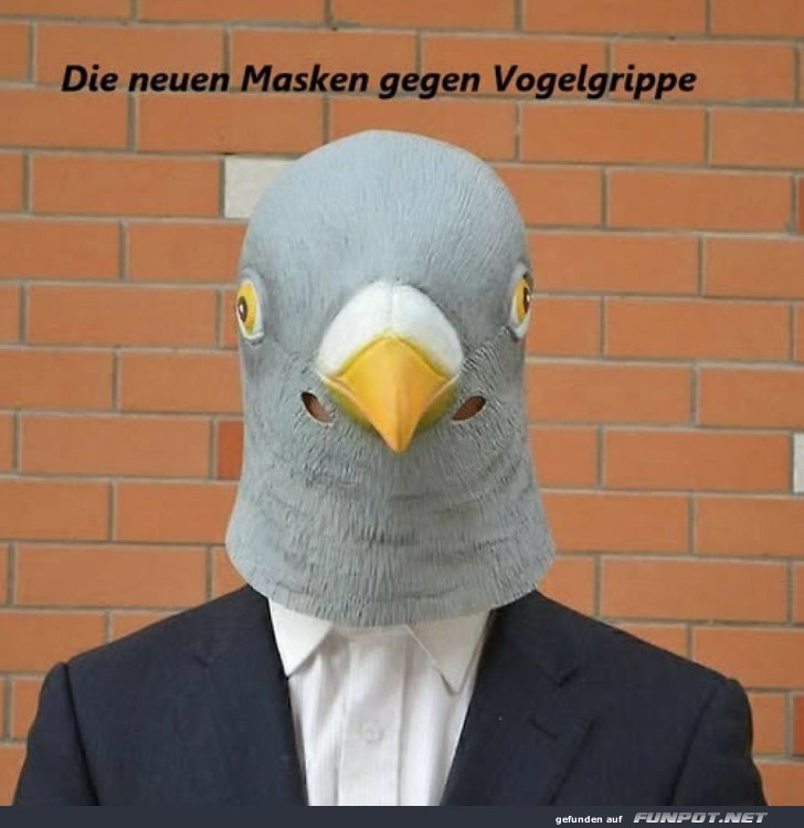 Vogelschutz: Die neueste Mode fr Sicherheit