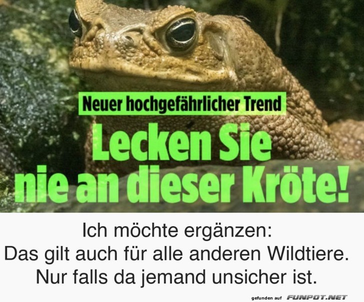 Vorsicht Kröten!