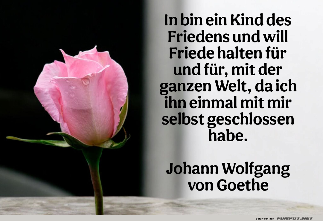 ich bin ein kind des friedens