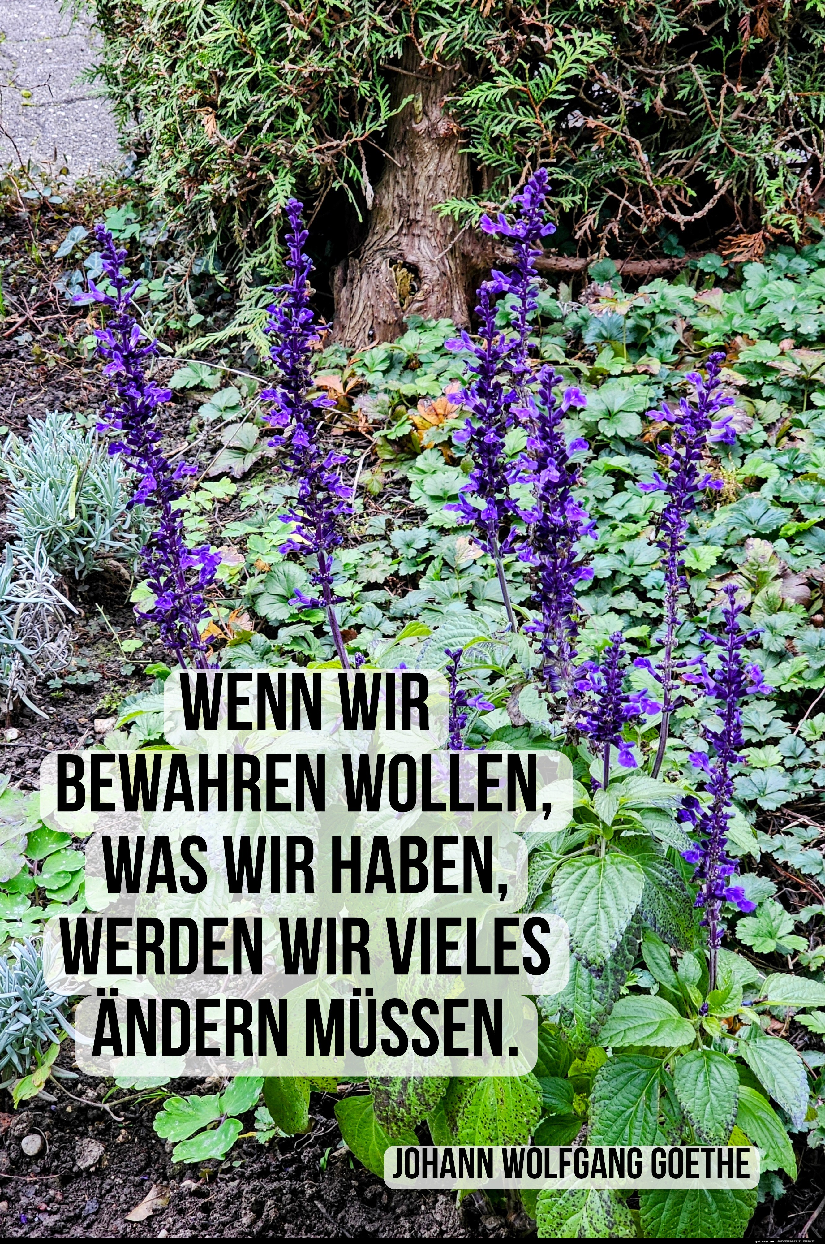 wenn wir bewahren wollen