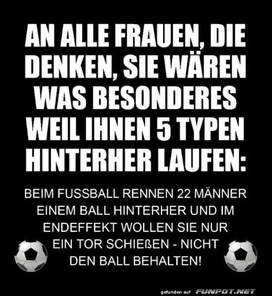 Wenn Blle Frauen verstehen knnten