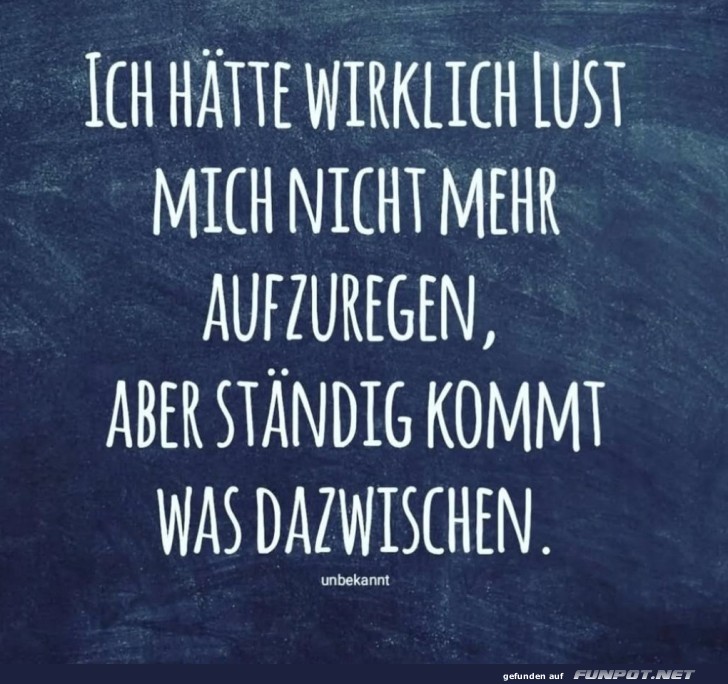 Der Aufregungsberater