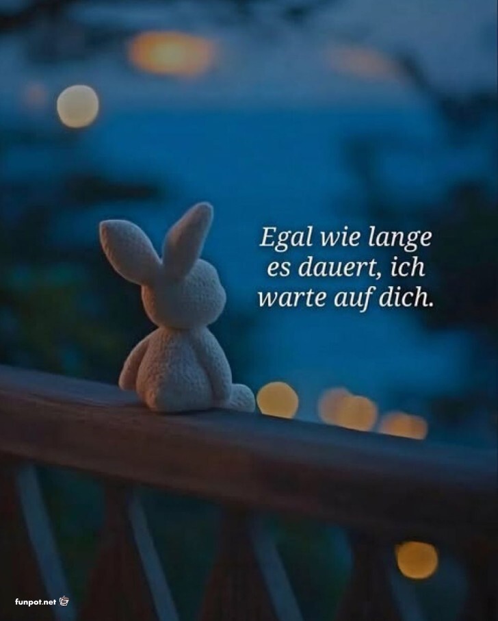 Sehnschtiges Kuscheltier wartet durch die Nacht