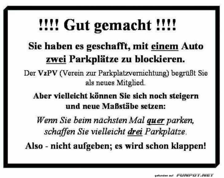 Parkplatzmeister: Der Doppelte Blockierer!