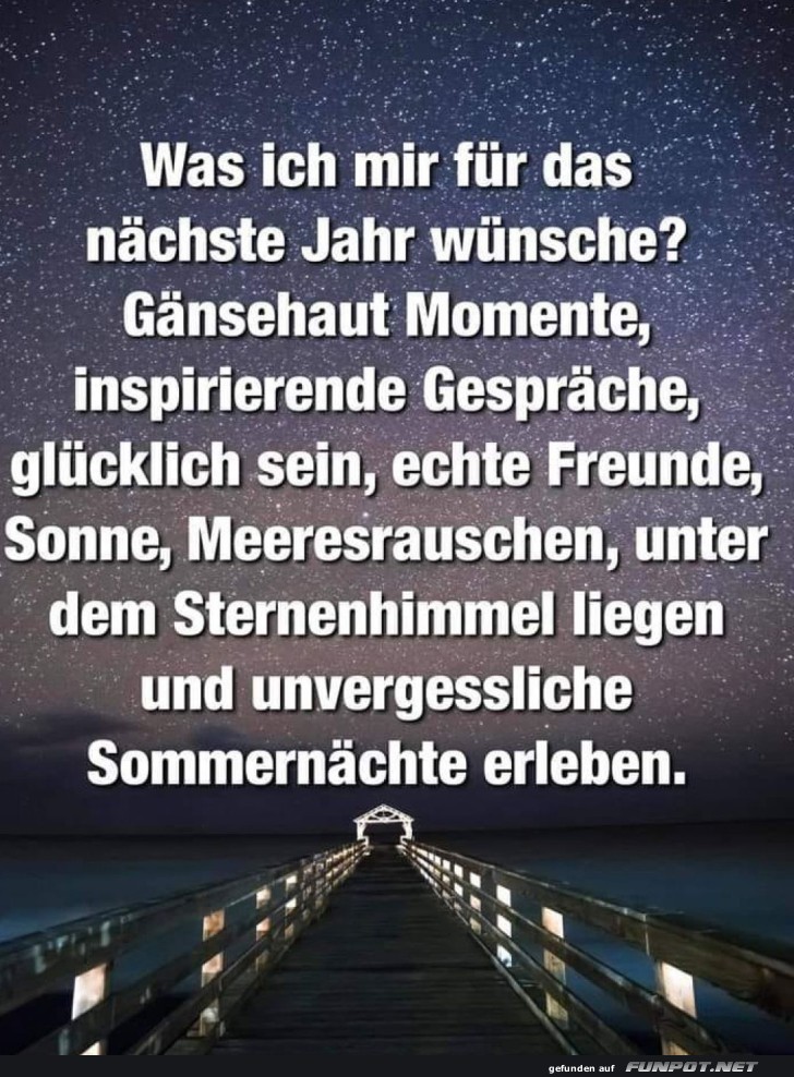 Sternschnuppen-Trume fr's nchste Jahr!