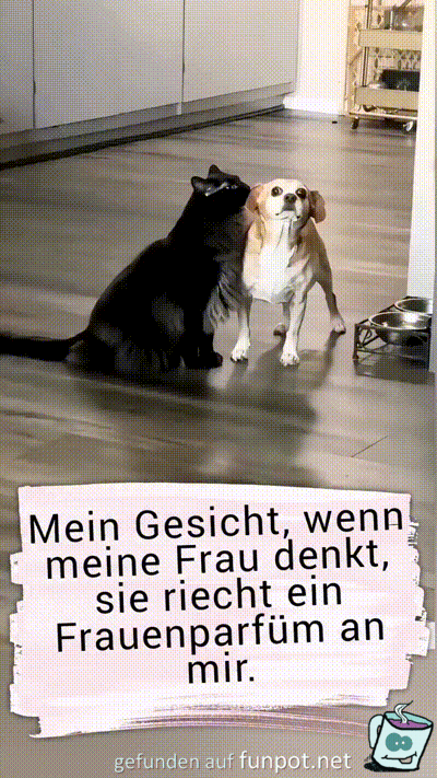 witzige animierte Bilder aus verschiedenen Blogs