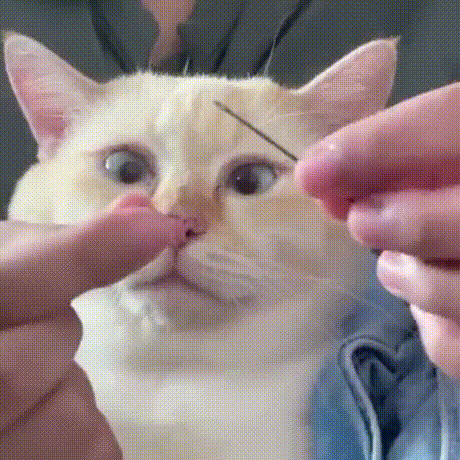 Lustiger Silberblick