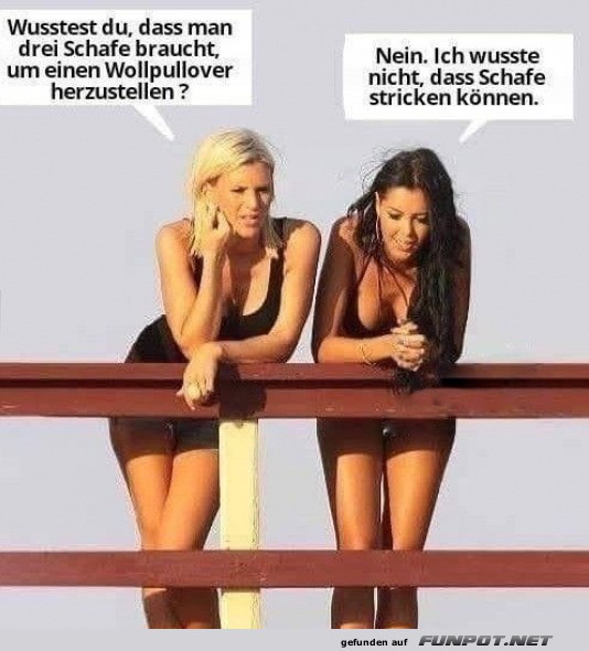 Schafe und Wollpullis: Verblffende Erkenntnisse!