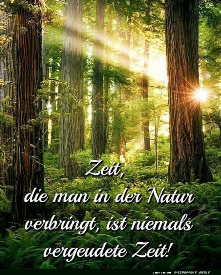 Baumtherapie: Die einzige Sitzung ist die Natur