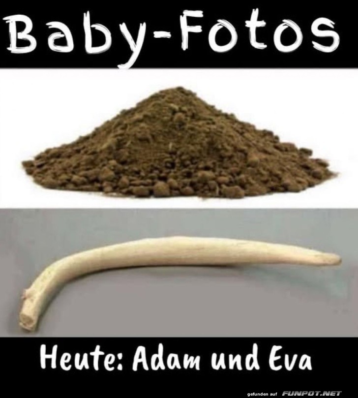 Adams historische Wurzeln