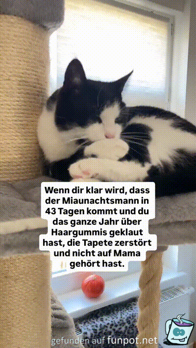 Das ist blöd Das ist blöd