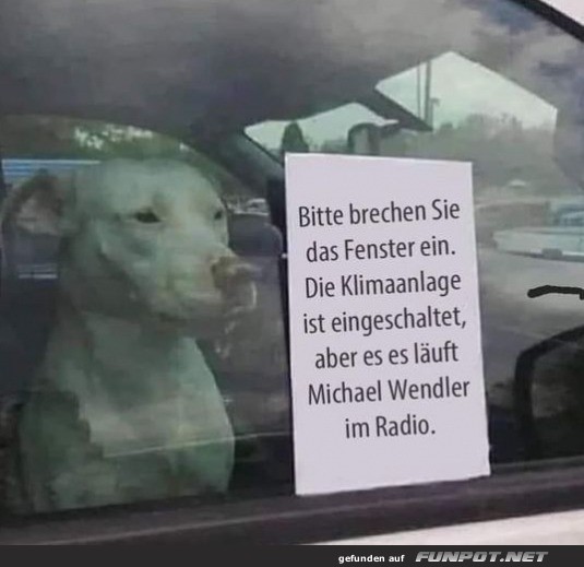 Hundeohren brauchen eine Pause!