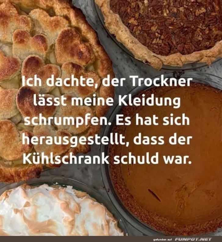 Kühlschrank-Detektiv enthüllt die Wahrheit