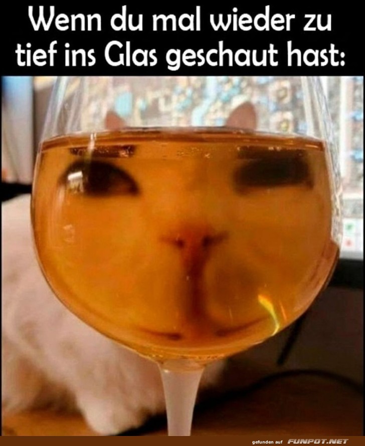 Katerstimmung im Glas!