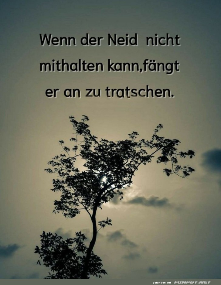 Wenn Bume lstern knnten