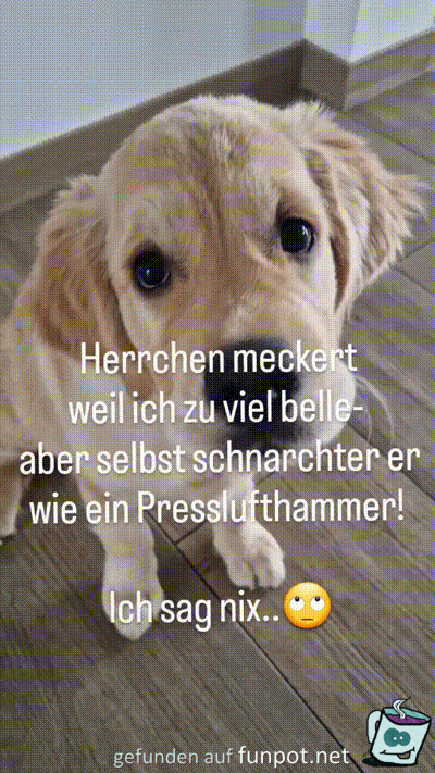 Herrchen meckert