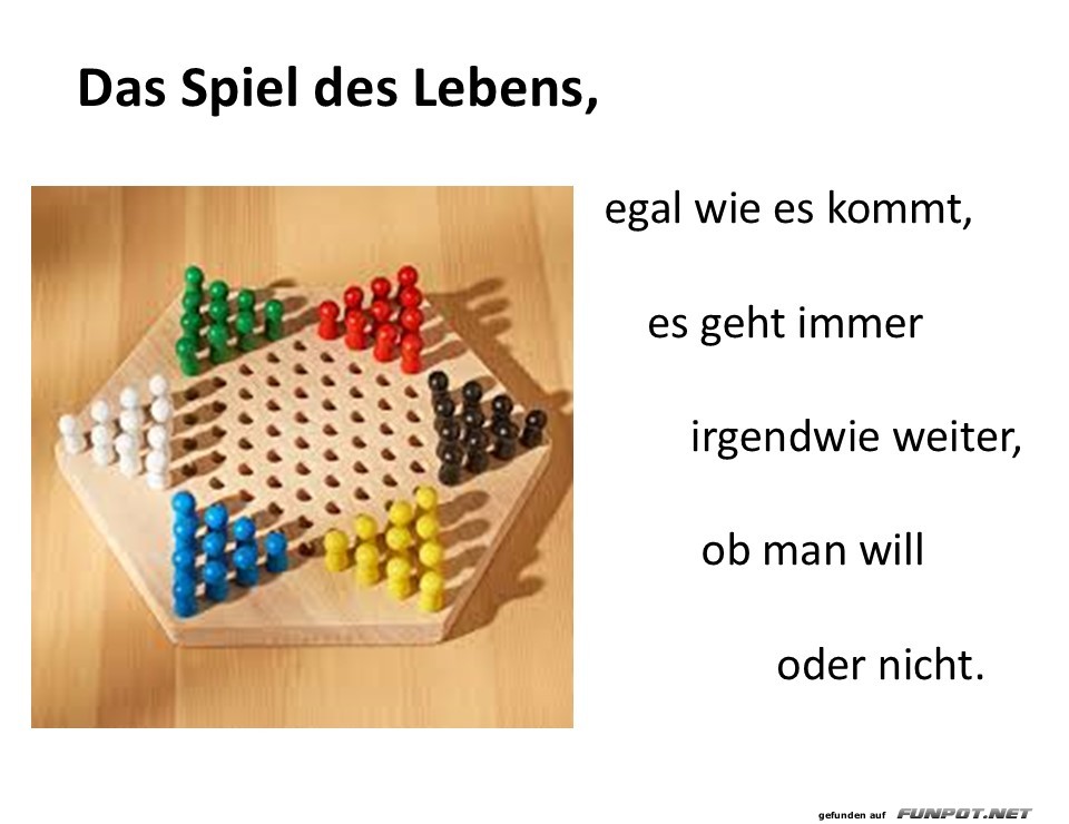 Das Spiel des Lebens