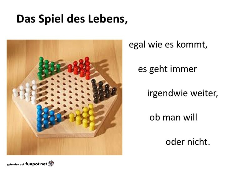 Das Spiel des Lebens