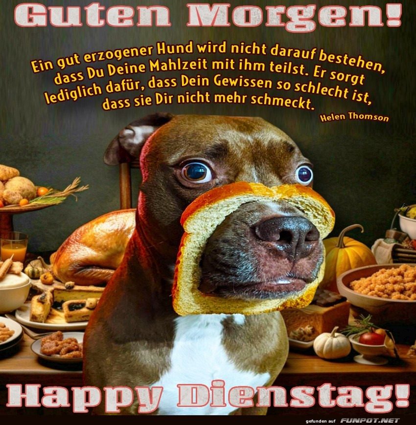 Brotgesicht-Hund startet den Dienstag