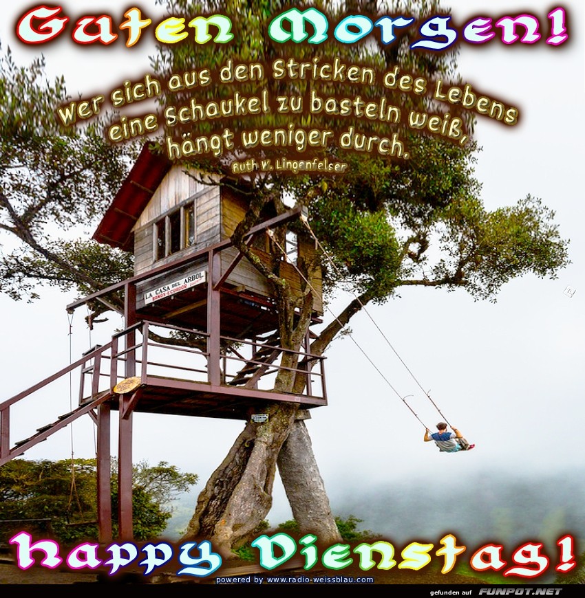 Ein Baumhaus zum Trumen mit Schwung!