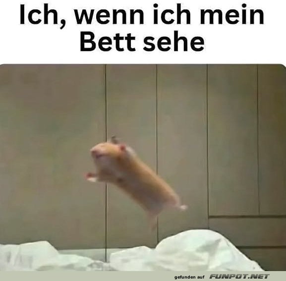 Fliegender Start ins Traumland