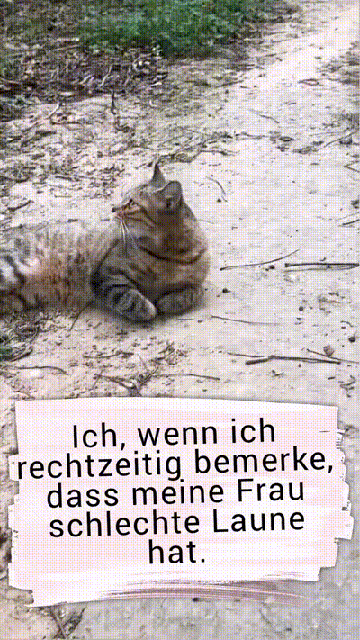 Rechtzeitig die Kurve gekratzt