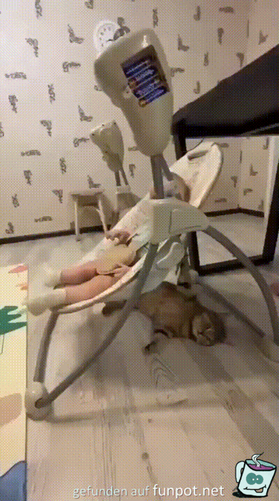 Lustige Katze Lustige Katze