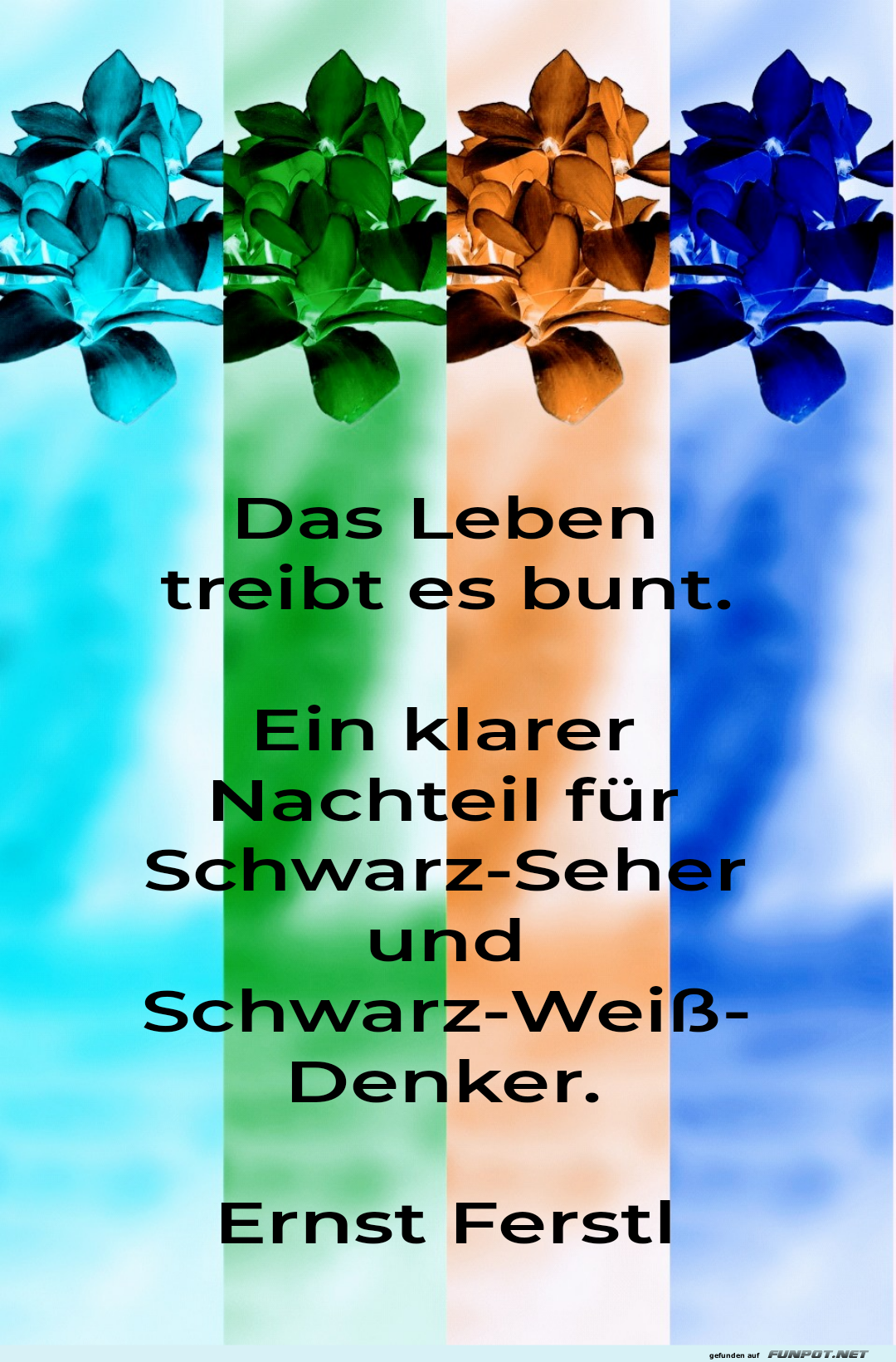 das leben treibt es bunt