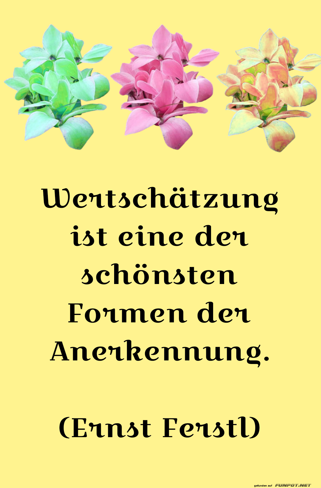 wertschtzung ist eine der schnsten