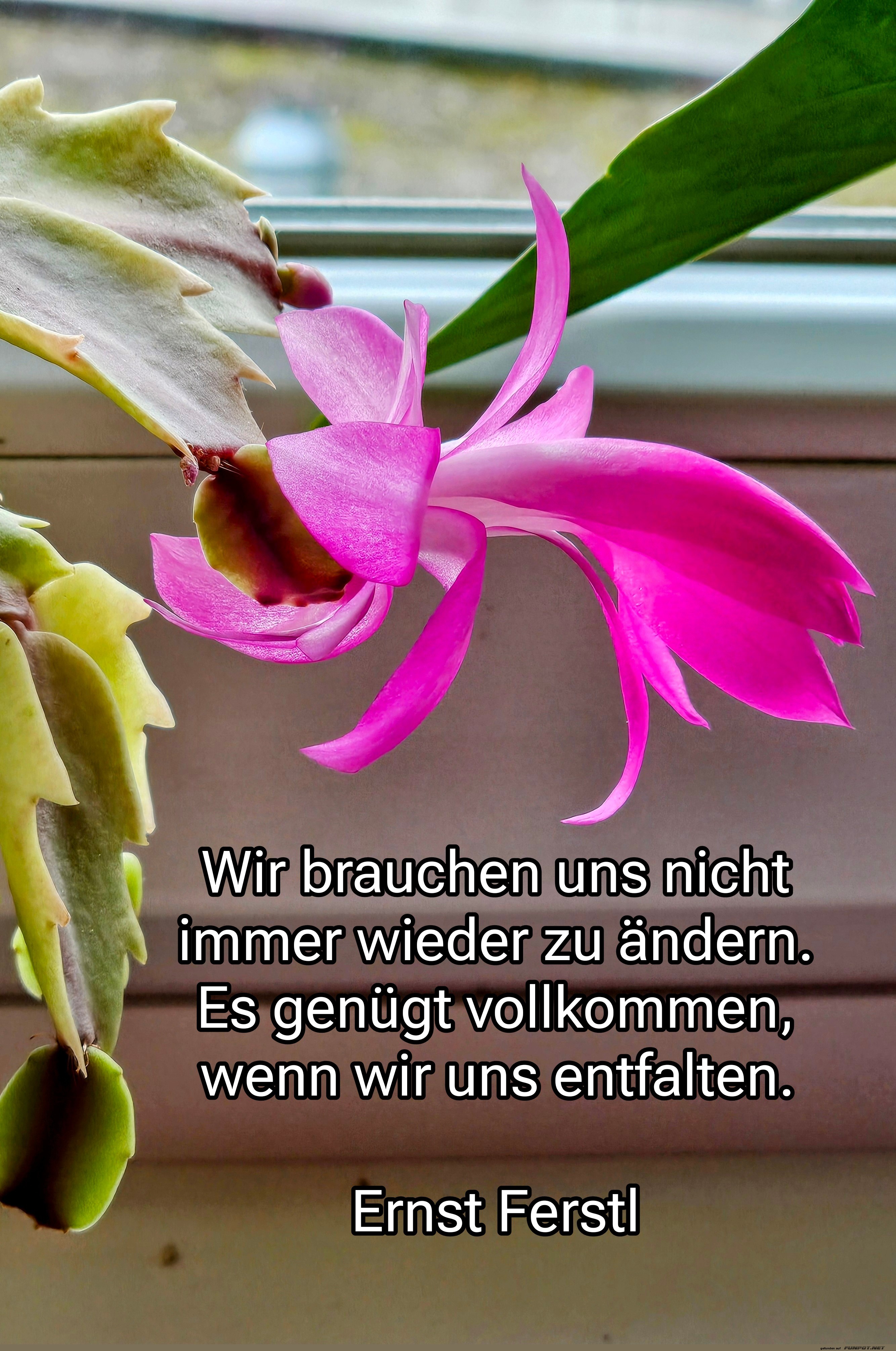 wir brauchen uns nicht