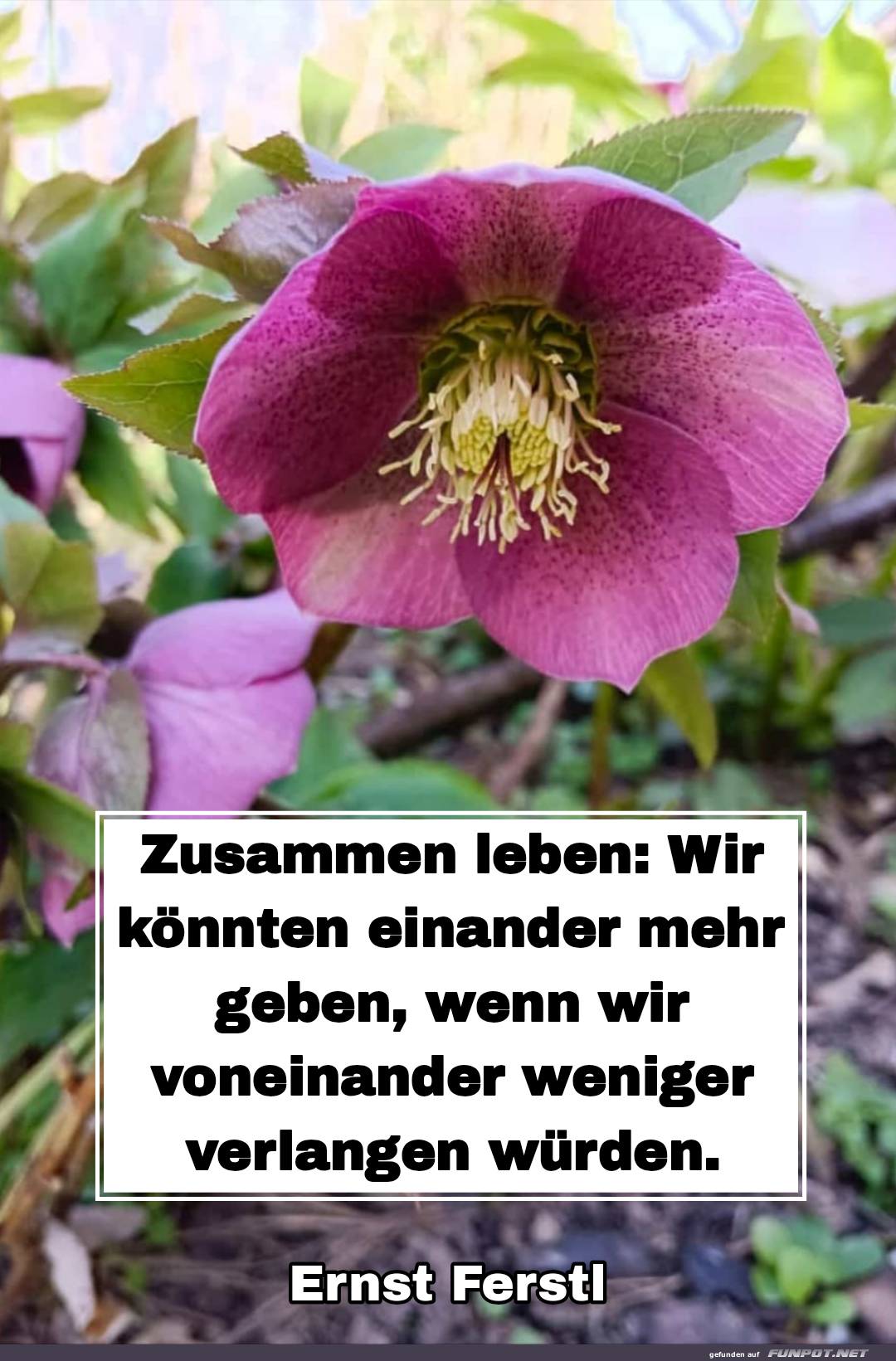 zusammen leben