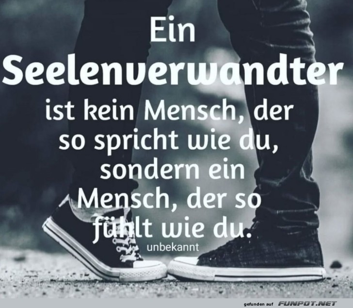 Schuhgeflster: Der Seelenverwandte