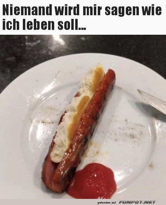 Hotdog mit Stilbruch
