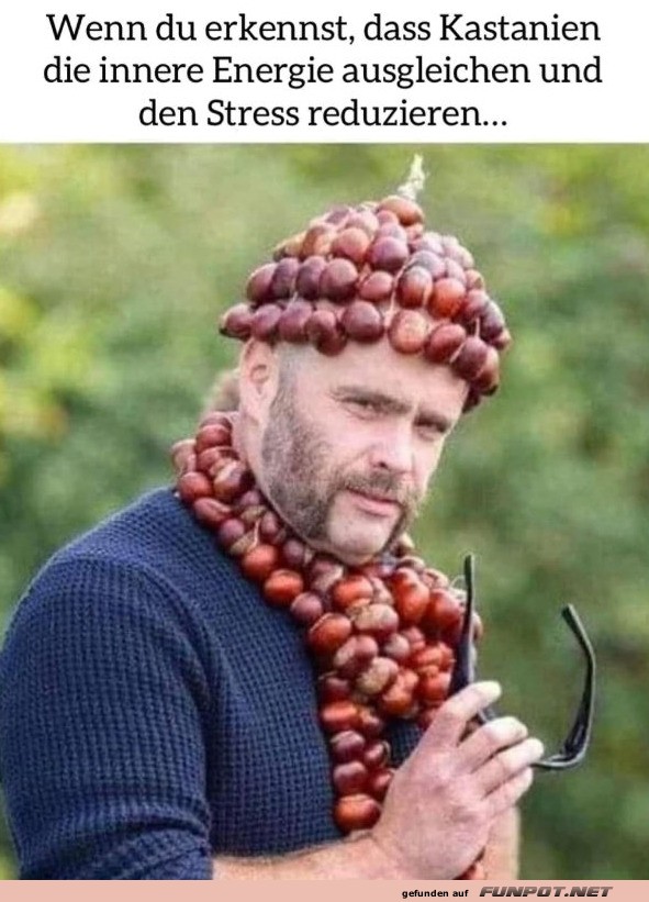 Kastanien-Krone gegen Stresschaos