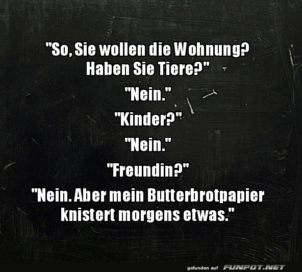 Wohnungsbesichtigung mit berraschung