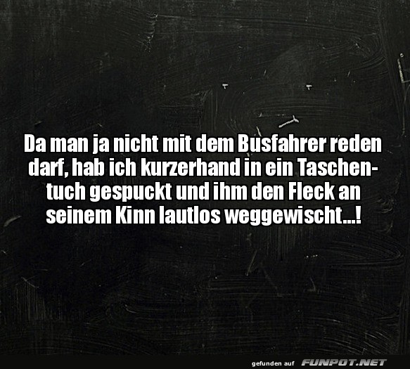 Diskrete Fleck-Entfernung für Busfahrer