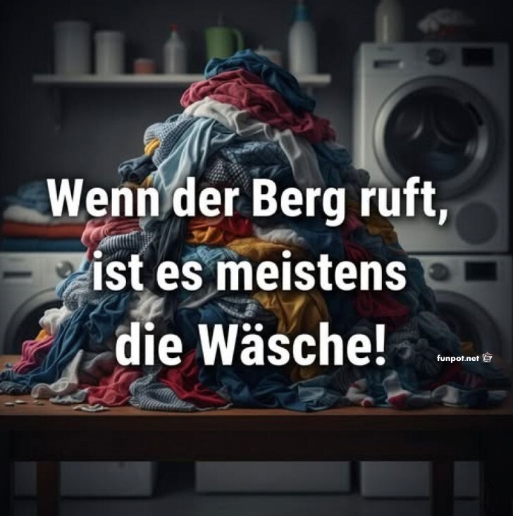 Gipfeltreffen im Wäschekorb! Gipfeltreffen im Wäschekorb!