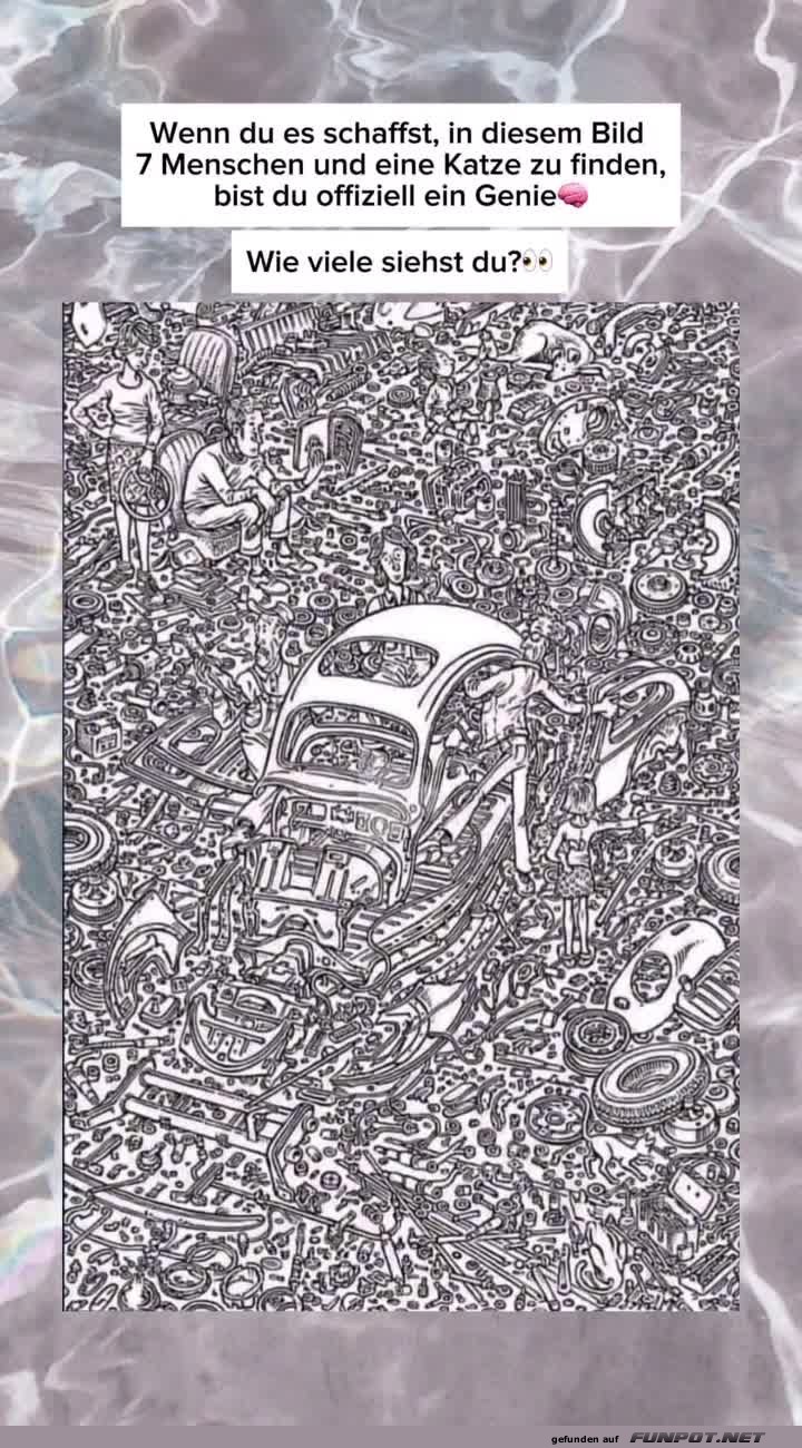 Sieben Menschen und eine Katze finden