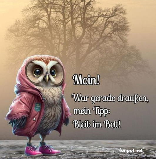 Eule im Morgenmantel gibt Schlafempfehlung! Eule im Morgenmantel gibt Schlafempfehlung!
