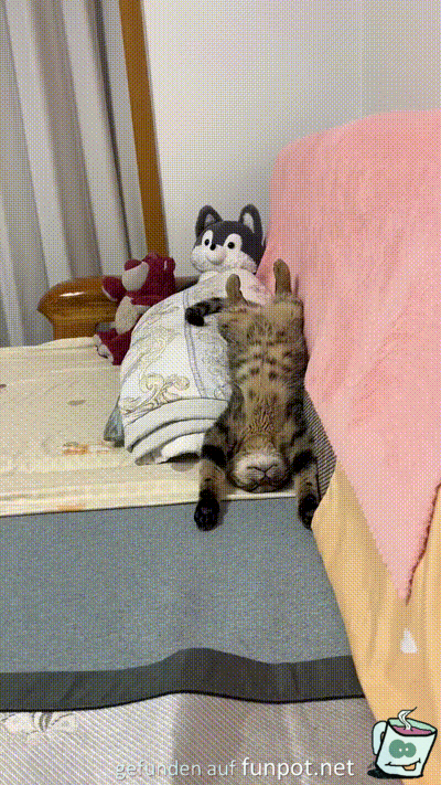 Scheint bequem zu sein