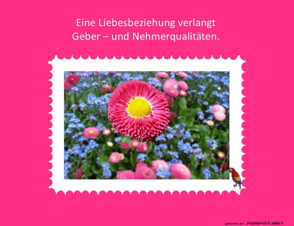 Eine Liebesbeziehung