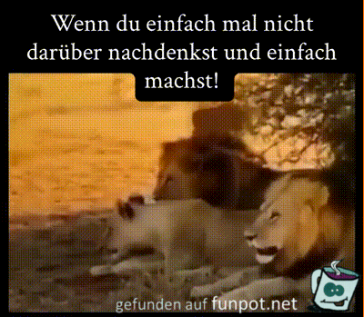 Das Schwein hat Mut Das Schwein hat Mut