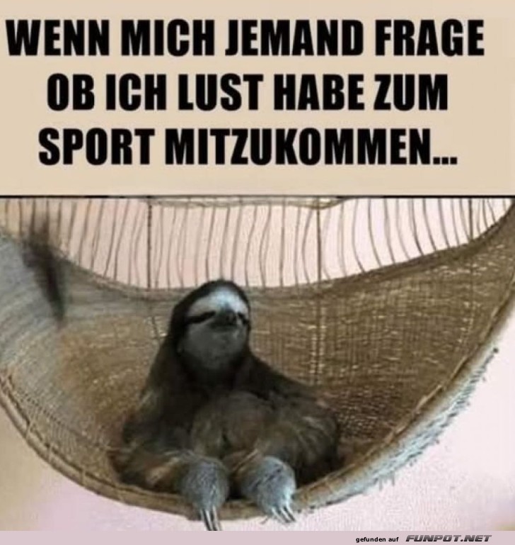 Lust auf Sport? Ich chill mal lieber!